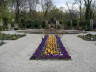 Tiergarten - Flower bed