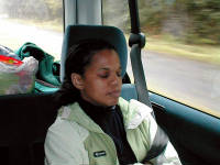 Click for larger image.