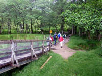 Click for larger image.