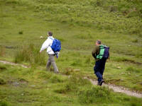 Click for larger image.