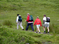 Click for larger image.