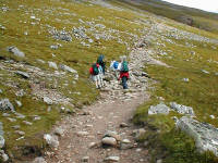 Click for larger image.