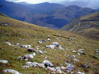 Click for larger image.