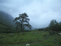 Click for larger image.