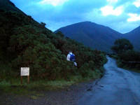 Click for larger image.