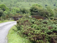 Click for larger image.