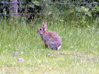 Click for larger image.