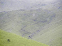 Click for larger image.