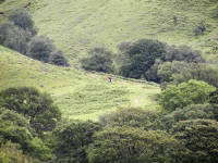 Click for larger image.