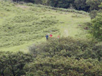 Click for larger image.