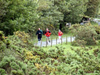 Click for larger image.