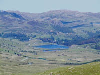 Click for larger image.