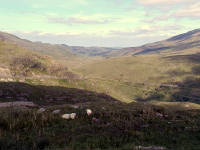 Click for larger image.