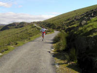 Click for larger image.