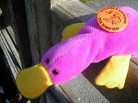 Click for larger image.