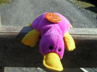 Click for larger image.