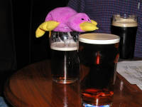 Click for larger image.