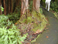 Click for larger image.