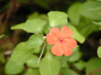 Click for larger image.