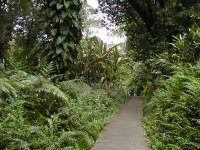 Click for larger image.