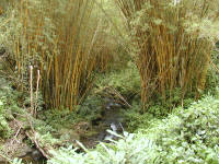 Click for larger image.