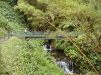 Click for larger image.