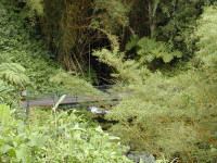 Click for larger image.