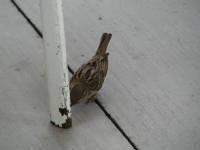 Click for larger image.