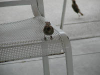 Click for larger image.