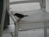 Click for larger image.