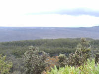 Click for larger image.