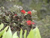 Click for larger image.