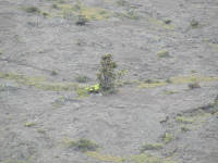 Click for larger image.