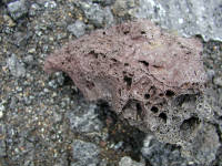 Click for larger image.