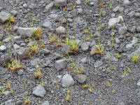 Click for larger image.