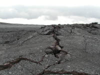 Click for larger image.