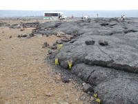 Click for larger image.