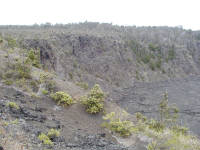 Click for larger image.