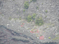 Click for larger image.