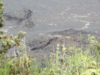 Click for larger image.