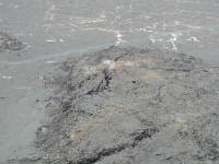 Click for larger image.