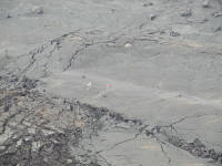 Click for larger image.