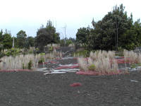 Click for larger image.