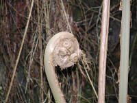 Click for larger image.