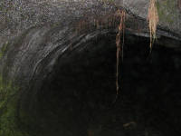 Click for larger image.