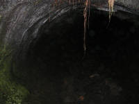 Click for larger image.