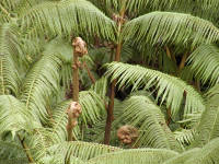 Click for larger image.