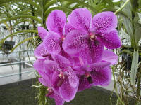 Click for larger image.