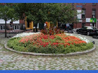 Click for larger image.