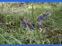 Click for larger image.